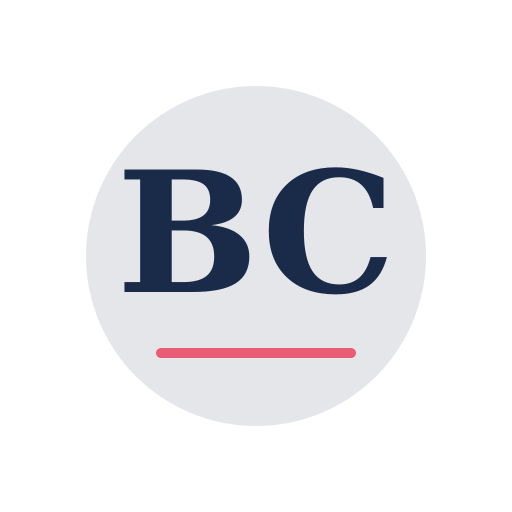 Brwin Chimney Services logo